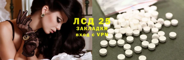 гидра Абаза