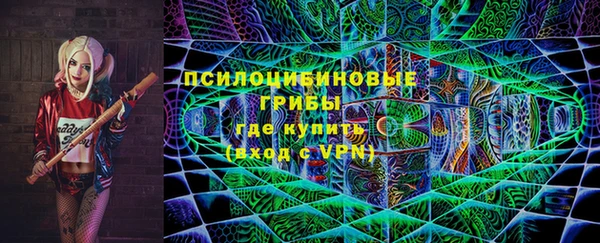 гидра Абаза