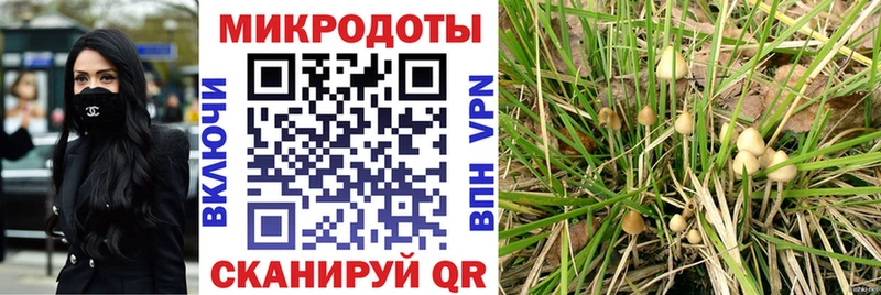 продажа наркотиков  Орск  kraken   Галлюциногенные грибы MAGIC MUSHROOMS 